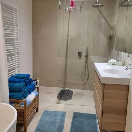 Appartamento Duplex - Proche Cathedrale Strasburgo